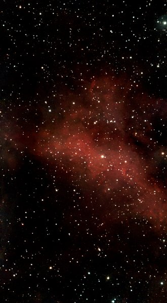 IC1318