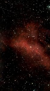 IC1318