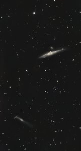 NGC 4631