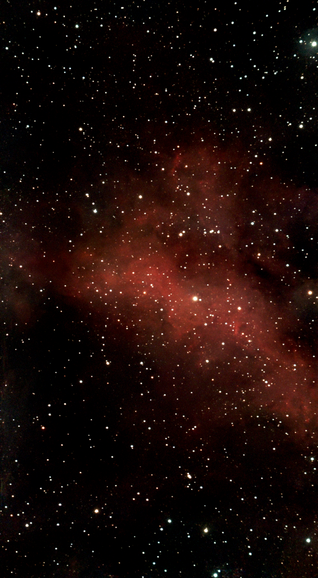 IC1318